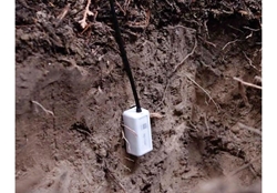 Picture of HOBO MX2307 - Soil Moisture & Temperature Bluetooth Data Logger